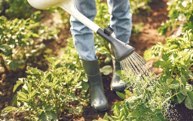 サンクリークLLC・サンクリーク行政書士事務所